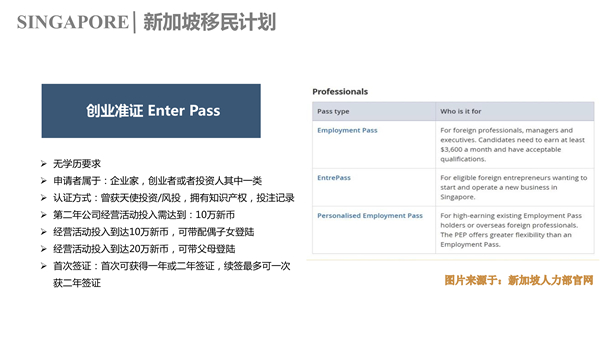 新加坡自雇计划P2.jpg