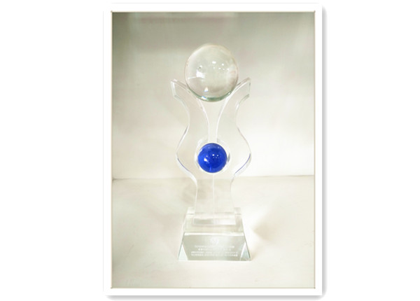2010中国（成都）金牌服务品牌榜—成都圣捷经济文化发展有限公司 (1).jpg