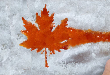 image6.png