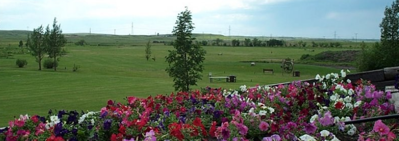 image9.png