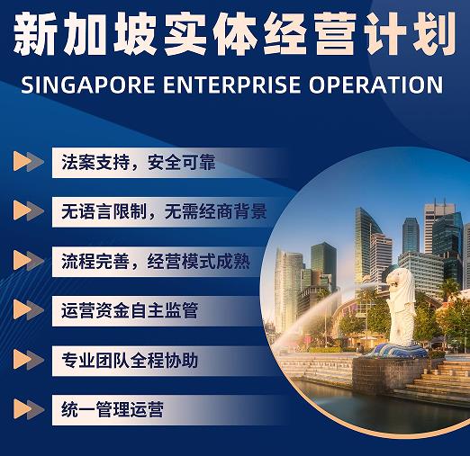 电信科技行业人士获得新加坡身份的成功案例